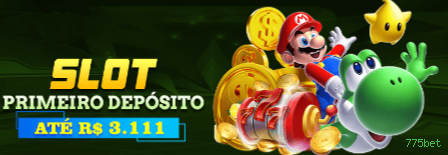 Suporte VIP 775bet - atendimento prioritário